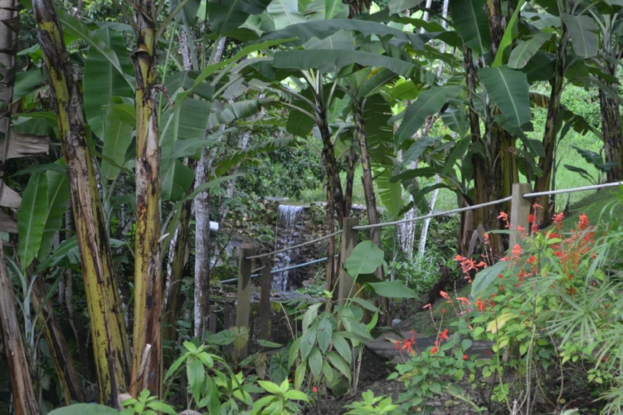 Sitio Alto da Montanha Villa Pacoti Esterno foto